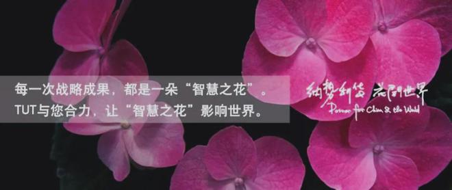 彩神vll首页从小镇走向天下 宜家（IKEA）的环球化过程、品牌计谋与启迪(图7)