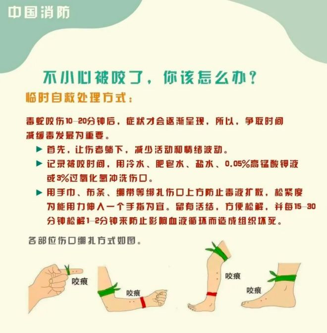 彩神网“三亚旅游被不明物咬伤身亡27岁女子”灭亡记载：曾诊断为不明生物咬伤(神经(图6)