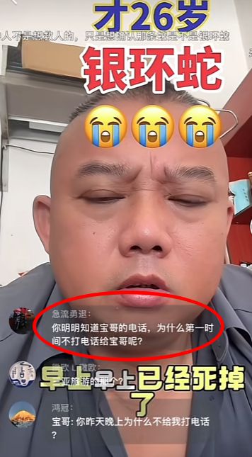 彩神vll首页三亚女旅客被蛇咬身亡变乱带火蛇类博主两天涨粉200万德律风被打爆交(图1)