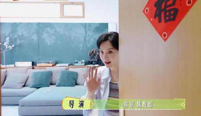 彩神vll《花少7》女星豪宅暴光那英家豪华陈数家精美李沁家宽阔(图12)