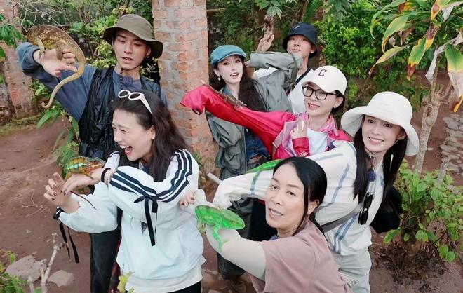 彩神vll《花少7》女星豪宅暴光那英家豪华陈数家精美李沁家宽阔(图1)