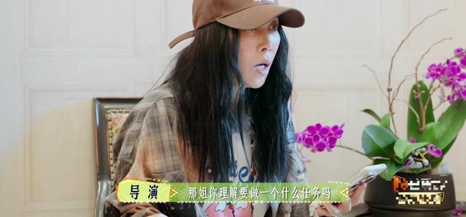 彩神vll《花少7》女星豪宅暴光那英家豪华陈数家精美李沁家宽阔(图6)