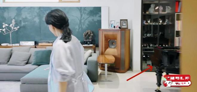 彩神vll《花少7》女星豪宅暴光那英家豪华陈数家精美李沁家宽阔(图13)