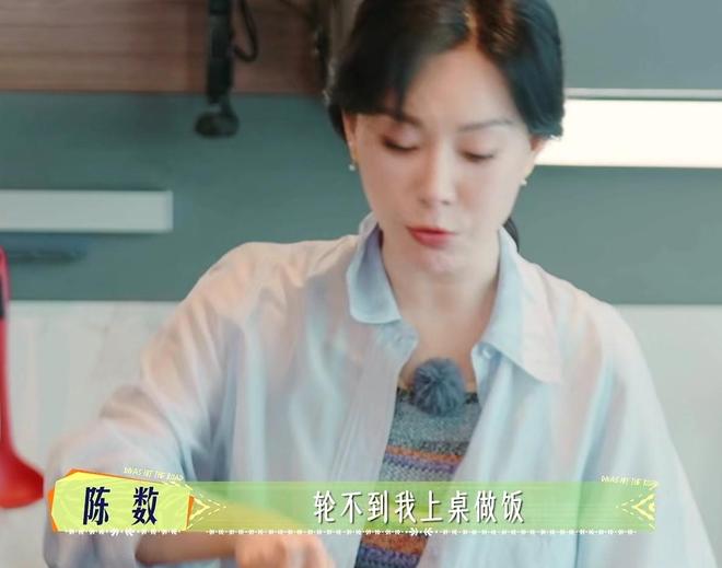 彩神vll《花少7》女星豪宅暴光那英家豪华陈数家精美李沁家宽阔(图20)
